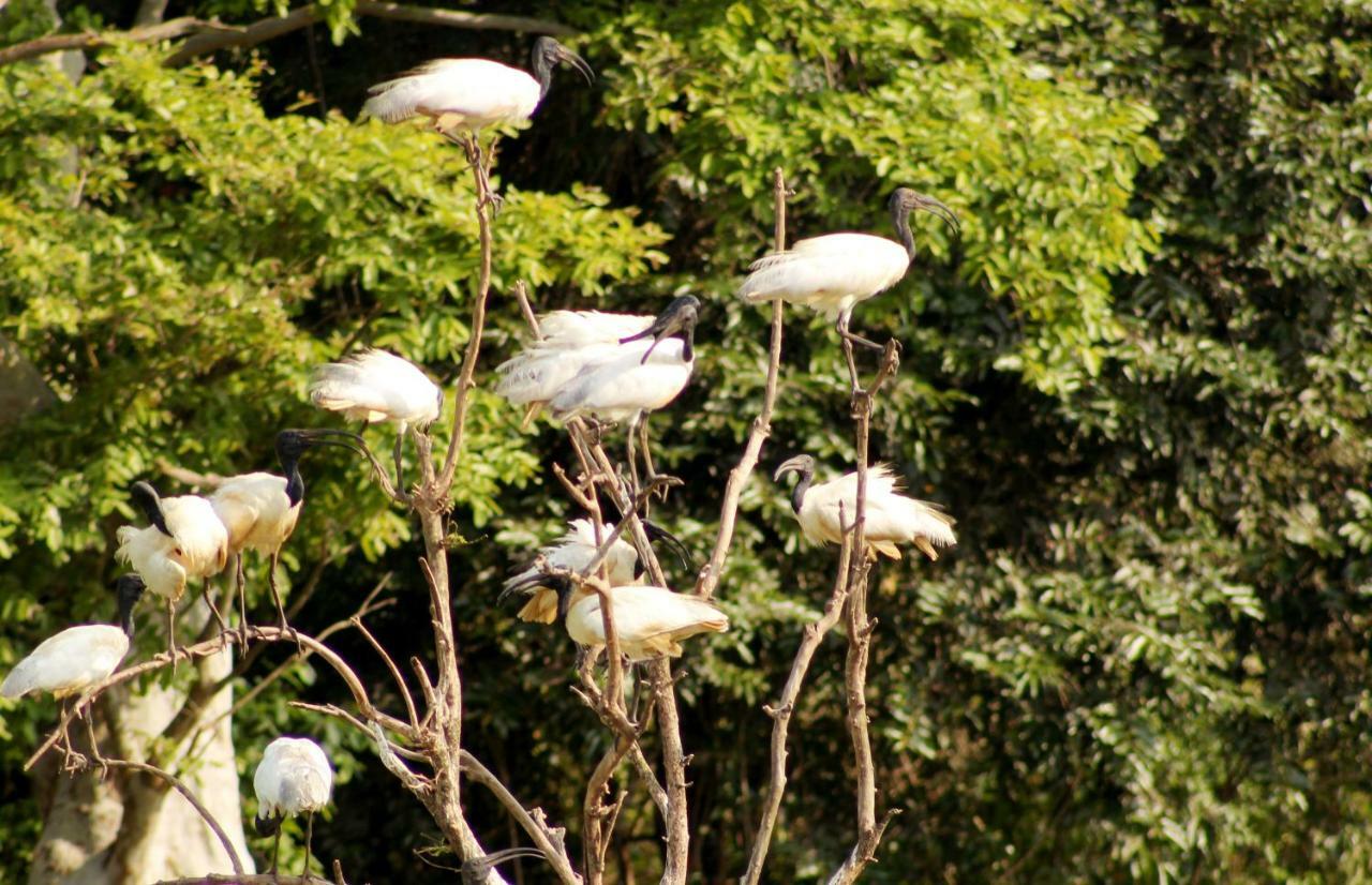 Wasgamu Safari Lodge Wasgamuwa Extérieur photo