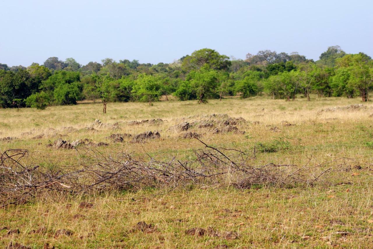 Wasgamu Safari Lodge Wasgamuwa Extérieur photo